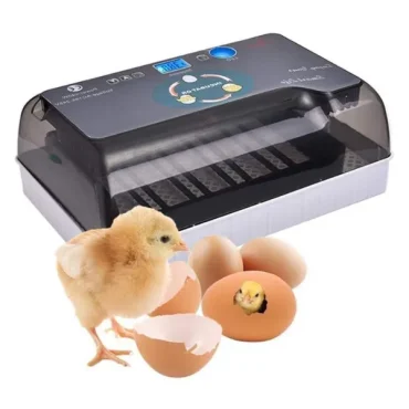 EggCrest-4
